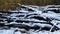 Snow Covered Wood Logs and Brances During Winter