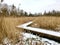 Snow covered wooden boardwalk in a wetlands centre