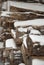 Snow covered woodpile