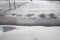 Snow Covered Yard with Shoveled Path after a Snowstorm