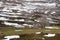 Snow covering the fields. Little rural house