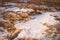 The snow covers dries grass and field in Iceland. Concept of wildlife, forage, beast track, yellow hayfield, countryside, white s