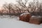 Snow covers the ground while scrub oak bushes reach bare branches towards the sky