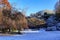 Snow covers Large Quarry Garden in Queen Elizabeth Park