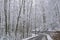 Snow covers a narrow mountain road in the Smokies.