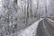 Snow covers a narrow mountain road in the Smokies.