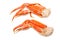 Snow crab (Chionoecetes opilio) or Tanner crab.