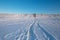 Snow Curonian Spit dunes in January winter sunny day. Blue sky, no people, calm and beautiful view. Near Klaipeda city