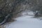 Snow Day Stroll 2: Snowy Walking Path at Leslie Groves Park, Richland, Washington
