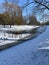 snow drifts ducks birds forest