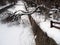 Snow and Fallen Tree in Georgetown