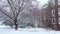 Snow Falling Neighborhood Winter Storm in March