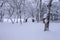 Snow falling in park and a walking bridge in winter.