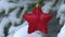 Snow falling on red Christmas star