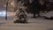 Snow falls on the branches of the pine tree in winter natural background.