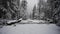 Snow Falls on Frozen Creek and Lower Yosemite Falls