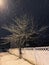 snow falls and trees are illuminated by street lights in a neighborhood