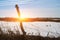 Snow field behind a fence with broken barbed wire.With a Sunny sunset