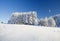 Snow field and forest under blue sky with crescent