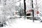 Snow-filled back yard after a major winter storm