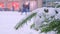 Snow on fir branch. A coniferous tree in hoarfrost in christmas city