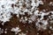 Snow flake macro. amazing crystal closeup on old windowsill, spa