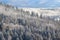 Snow Flocked and Iced Forest Clingman`s Dome