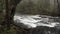 Snow flurries falling over a creek during winter