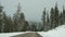 Snow and fog in wintry forest, driving auto, road trip in winter Utah USA. Coniferous pine trees, mystery view thru car