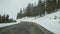 Snow and fog in wintry forest, driving auto, road trip in winter Utah USA. Coniferous pine trees, mystery view thru car