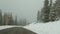 Snow and fog in wintry forest, driving auto, road trip in winter Utah USA. Coniferous pine trees, mystery view thru car