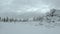 Snow forest on hillside. Gloomy frozen trees stand in row at foot of cliff