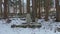 Snow in forest in Japan and small Shrine with small Jizo Guardians, pullback shot