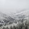 Snow frosted trees line a gentle valley