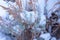 Snow gathers on a green sage brush desert mountain