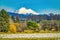 Snow Geese Flock Mount Baker Skagit Valley Washington