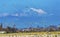 Snow Geese Flying Flock Mount Baker Skagit Valley Washington