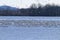 Snow geese on Middle Creek Lake