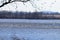 Snow geese on Middle Creek reservoir