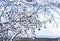 The Snow glaze 4-Snow scene in Mount Lu