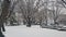 snow on ground and tree branches in winter snowfall season