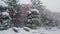 snow on ground and tree branches in winter snowfall season