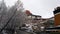 Snow in Gyantse monastery