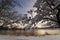 Snow hangs on trees after a storm