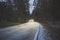 Snow on a highway road in a forest with illuminated headlight glares of a car in the morning