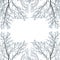 Snow and hoar frost covered tree branches, frame, isolated on white background