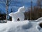 Snow horse sunlight