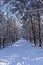 Snow and ice covered path or road in the winter forest landscape, winter season or christmas concept