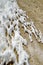 Snow and ice formations form patterns on the ground, in the high altitude puna desert near Salta, Argentina