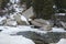 Snow and Ice melting on the river